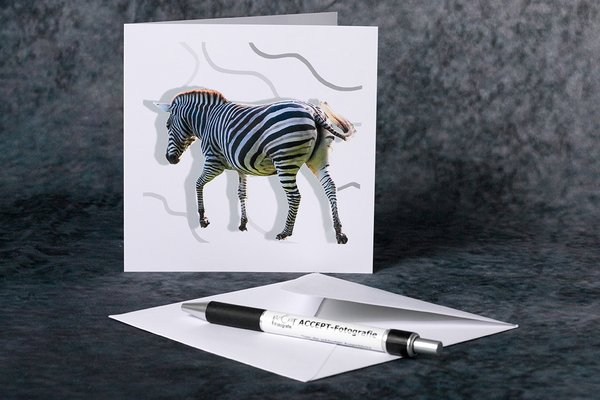 Zebra-Stripes Grußkarte 14x14cm