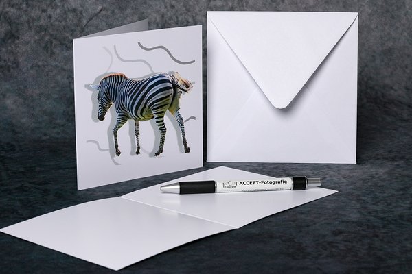 Zebra-Stripes Grußkarte 14x14cm